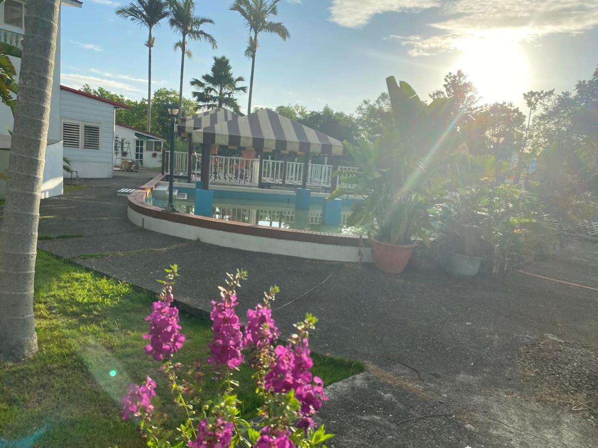 Sunny Villa Homestay Уцзе Экстерьер фото